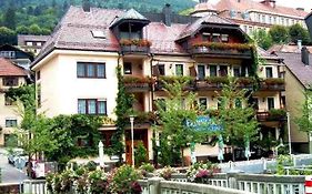 Hotel Alte Linde Bad Wildbad